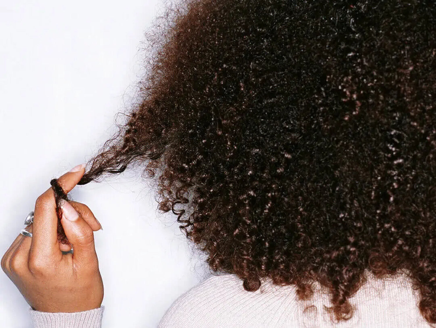 Curly Hair Care Routine for Smooth Frizz Free Curls